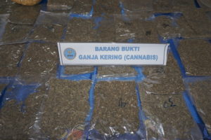 TETAP EKSIS DITENGAH COVID-19, BNNP PAPUA BARAT BERHASIL TANGKAP SEORANG WANITA BAWA 115 PAKET GANJA